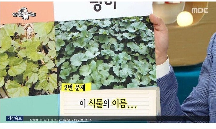 나물박사 곽철용