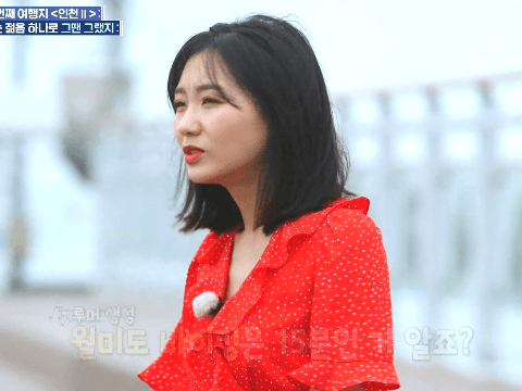 동네앨범 수정 케이