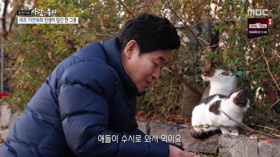 이연복이 먹여살리는 동물들