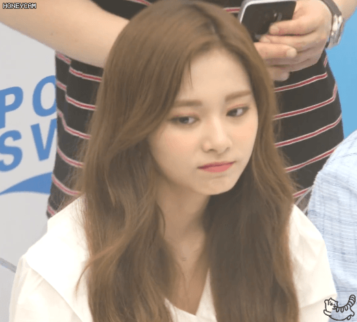 포카리 쯔위 채영