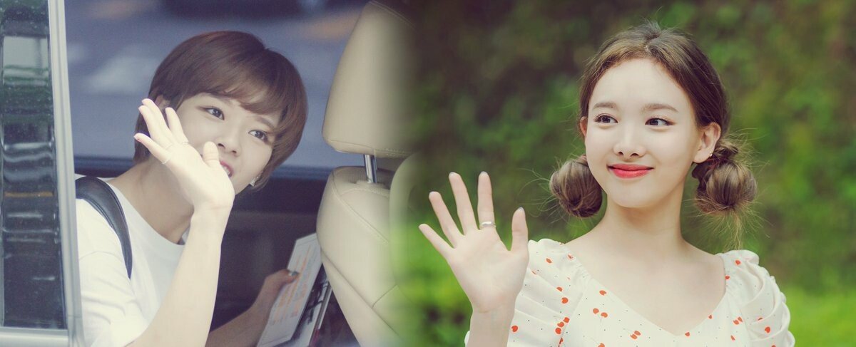 트와이스 애증의 쌍연 나연,정연