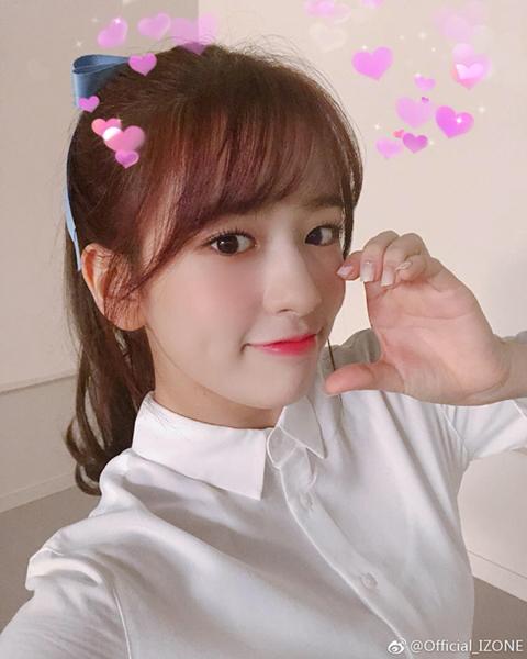 새우가 먹고 싶은 댕댕이