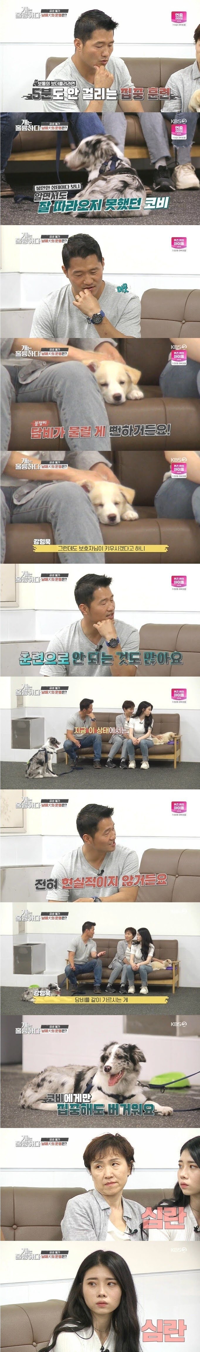 강형욱도 포기한 역대급 개 주인