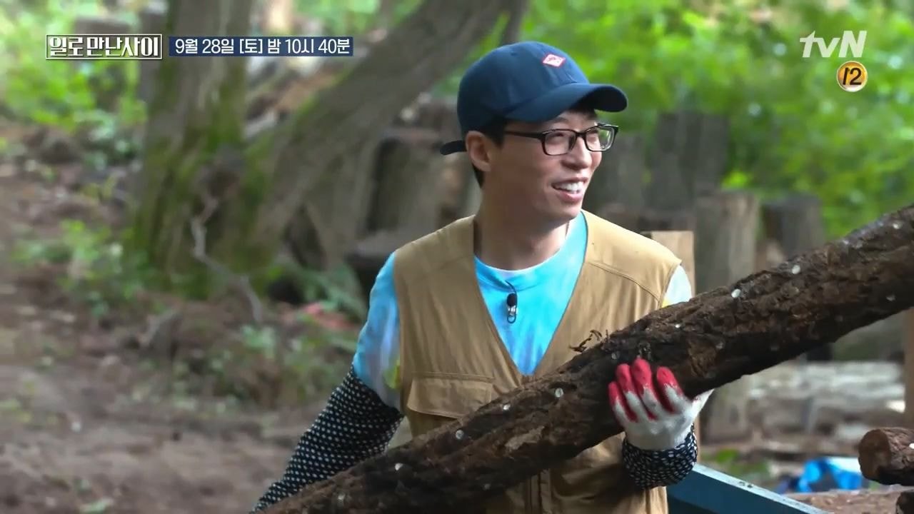 워크맨 표절 논란