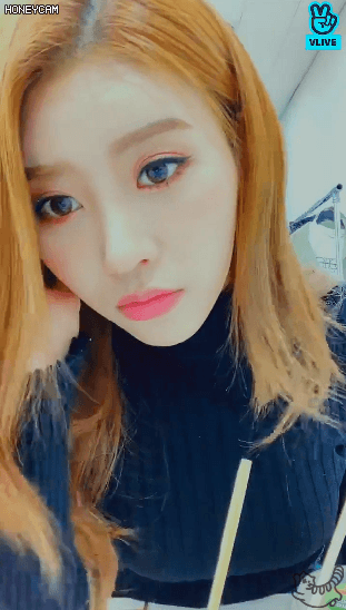 매를 버는 예인이 + 미주
