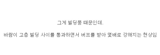 부산 바닷가에 태풍이 불면 난리나는 이유