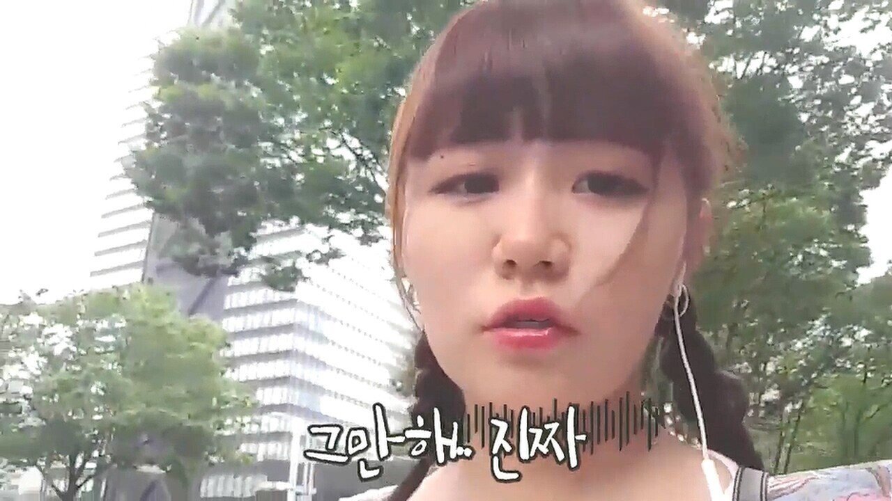 명불허전 손가락 애국자들