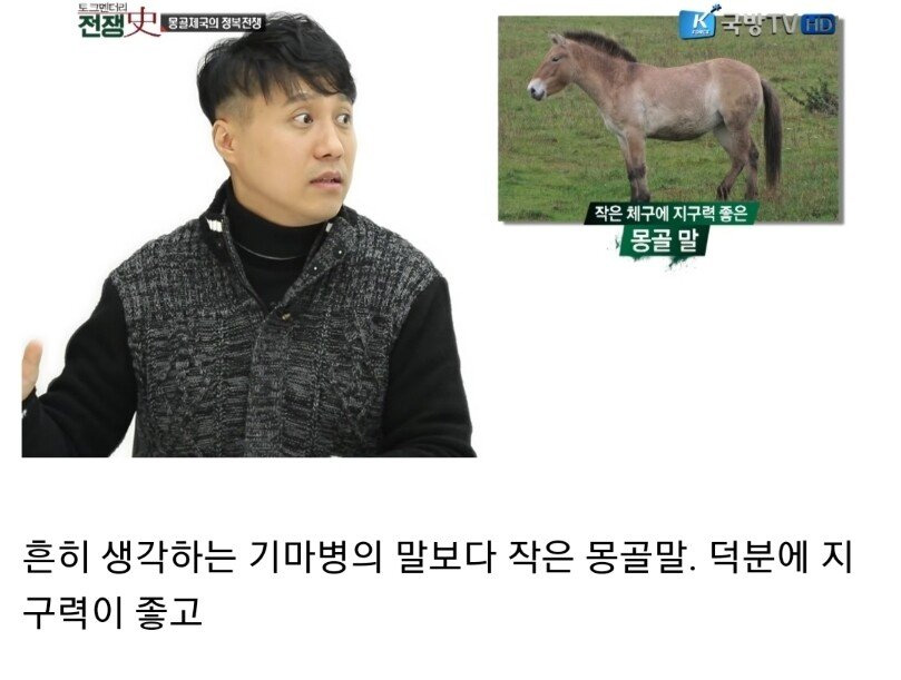 몽골 군마가 사기인 이유