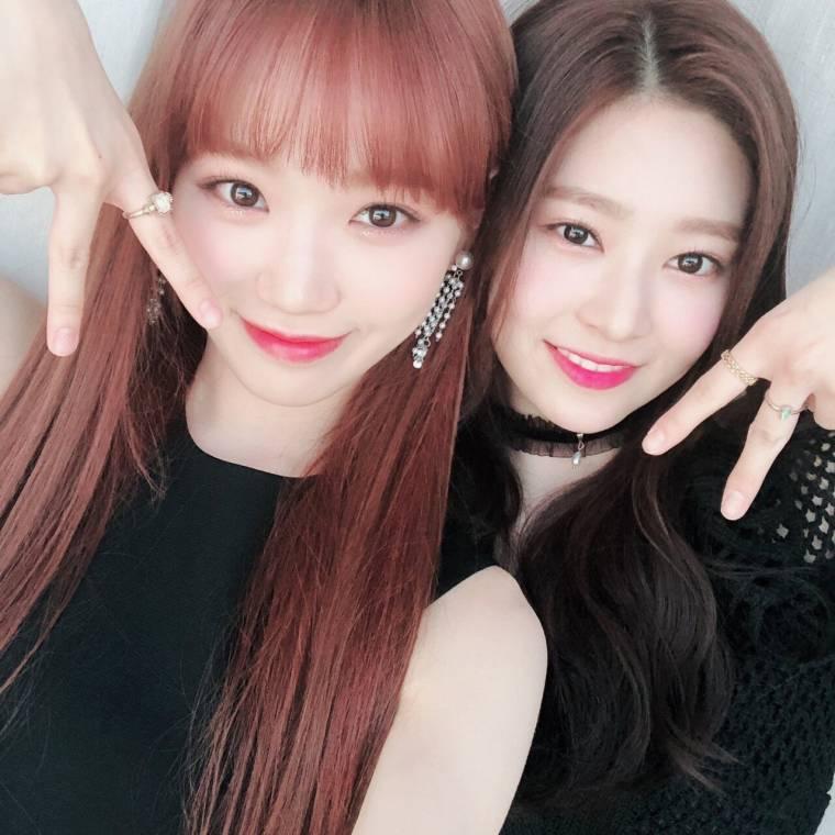 아이즈원 쌈구리