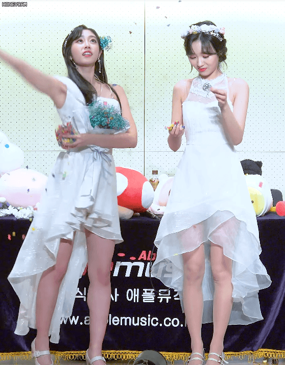 귀염 터지는 여우
