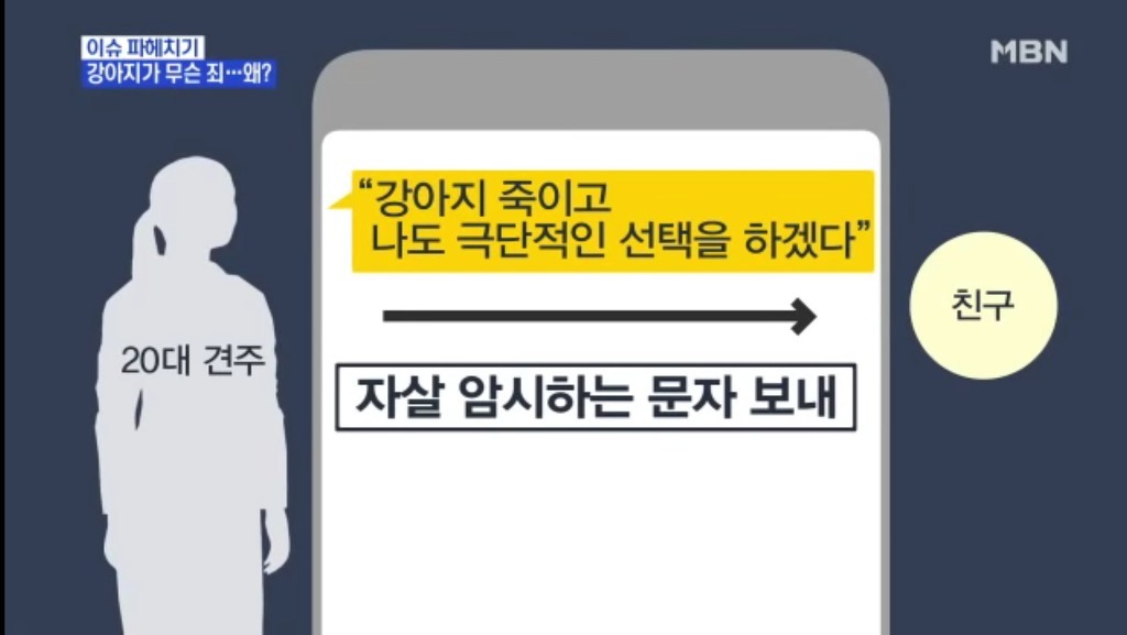 강아지가 무슨 죄?