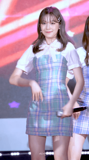 백지헌