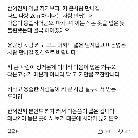 전현무를 향한 악플