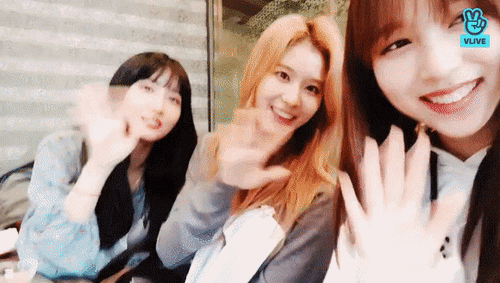 오늘자 브이앱 트와이스 미나 사나 모모 [108mb]