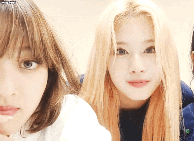 콘서트후 나연 모모 사나 다현 지효