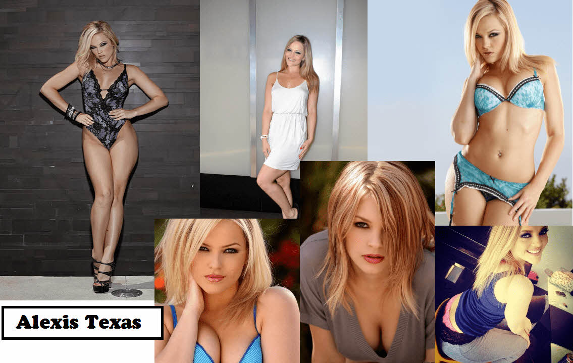 S급 서양 배우 확장판