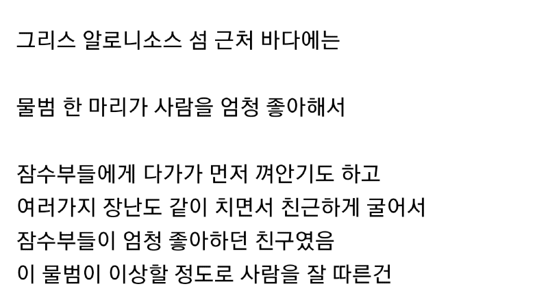 사람을 엄청 좋아했던 동물의 최후