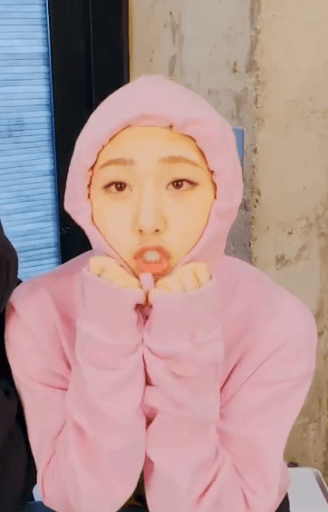분홍소시지 쥬리