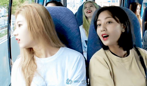 정열대륙 트와이스 사나 지효 모모 나연 [데이터]