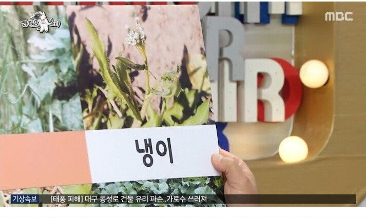 나물박사 곽철용