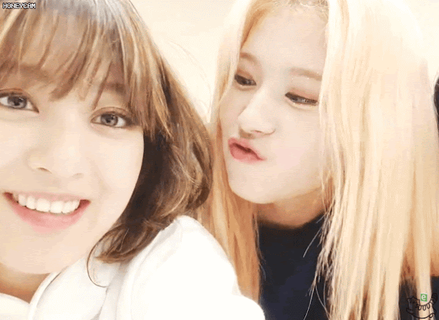 콘서트후 나연 모모 사나 다현 지효