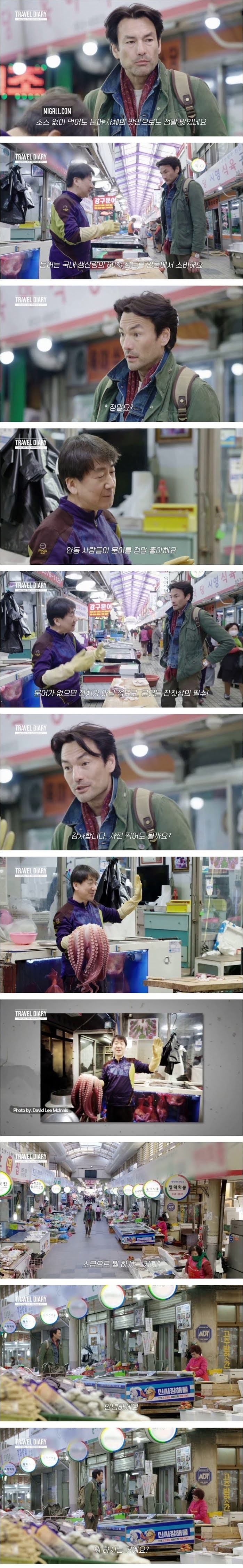안동 문어와 고등어