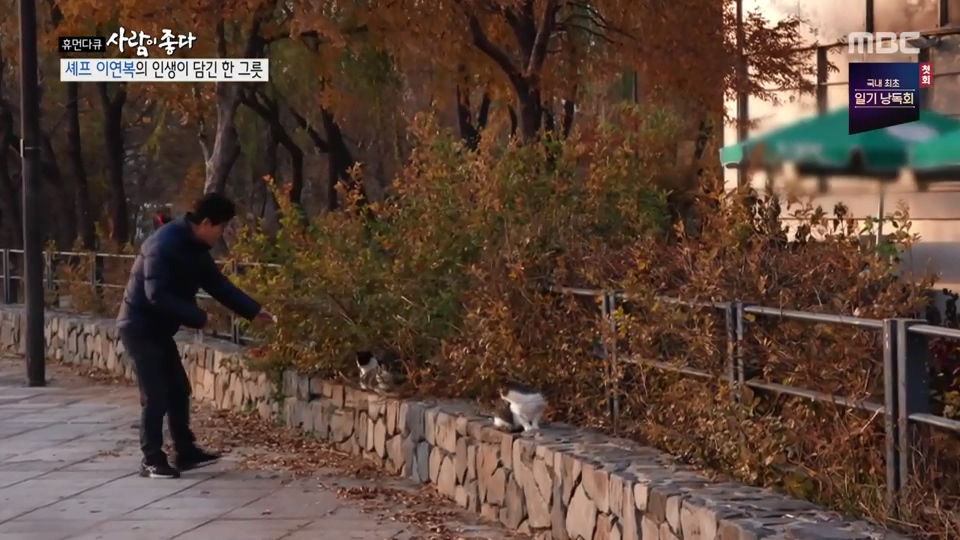 이연복이 먹여살리는 동물들
