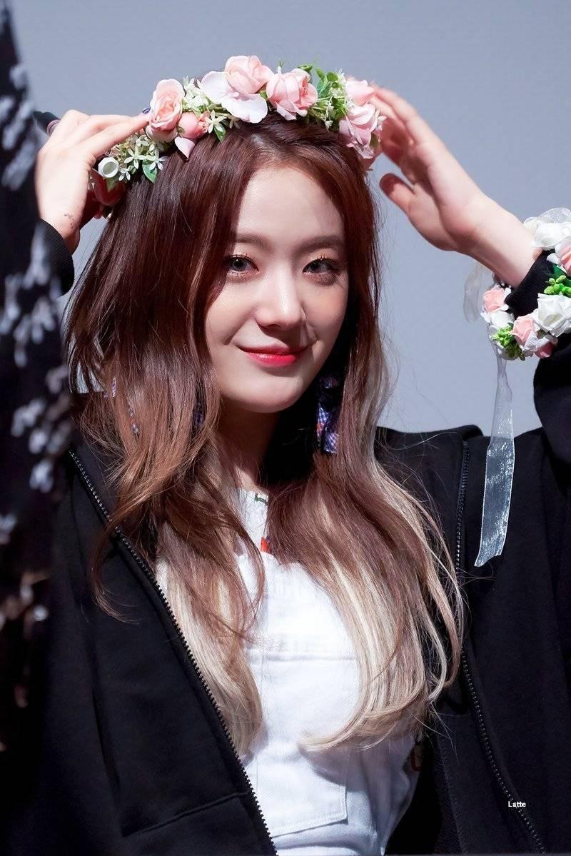 프로미스나인 장규리 데이타주의