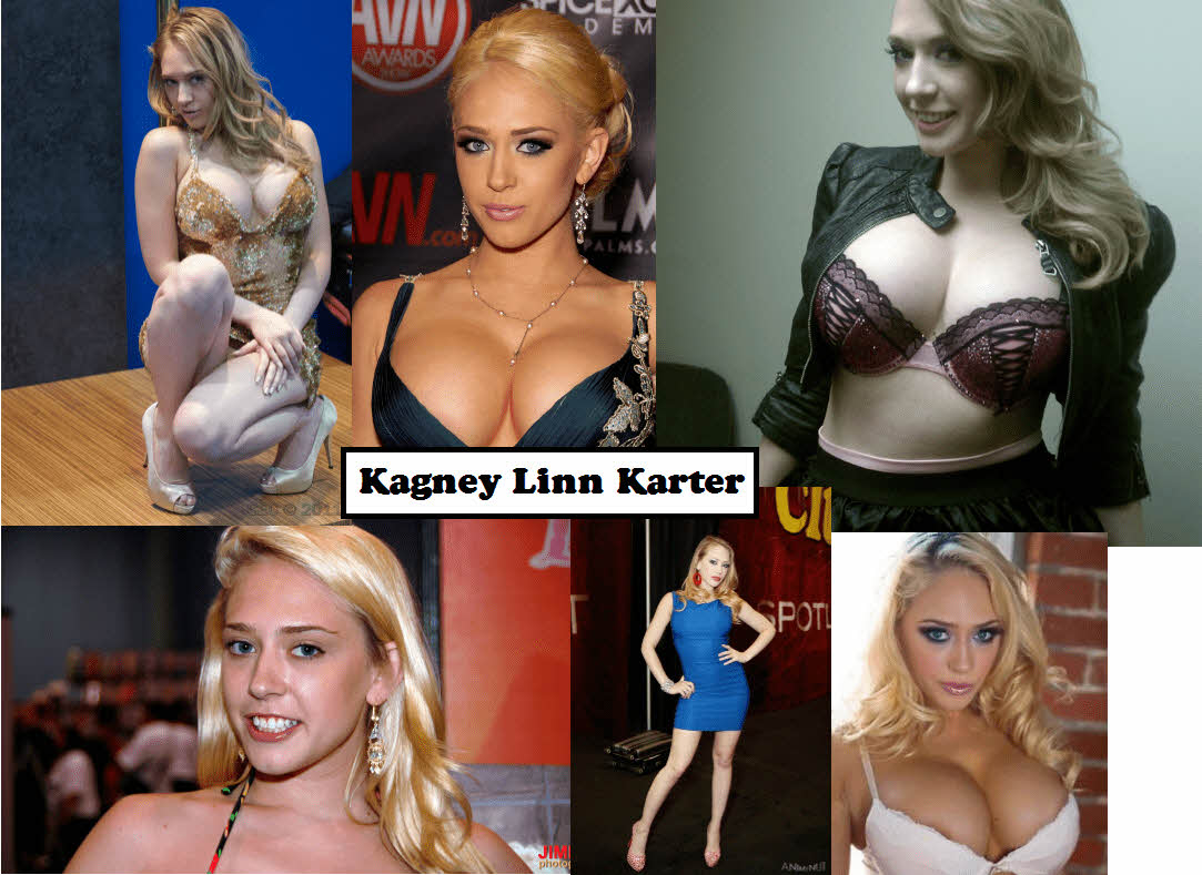 S급 서양 배우 확장판