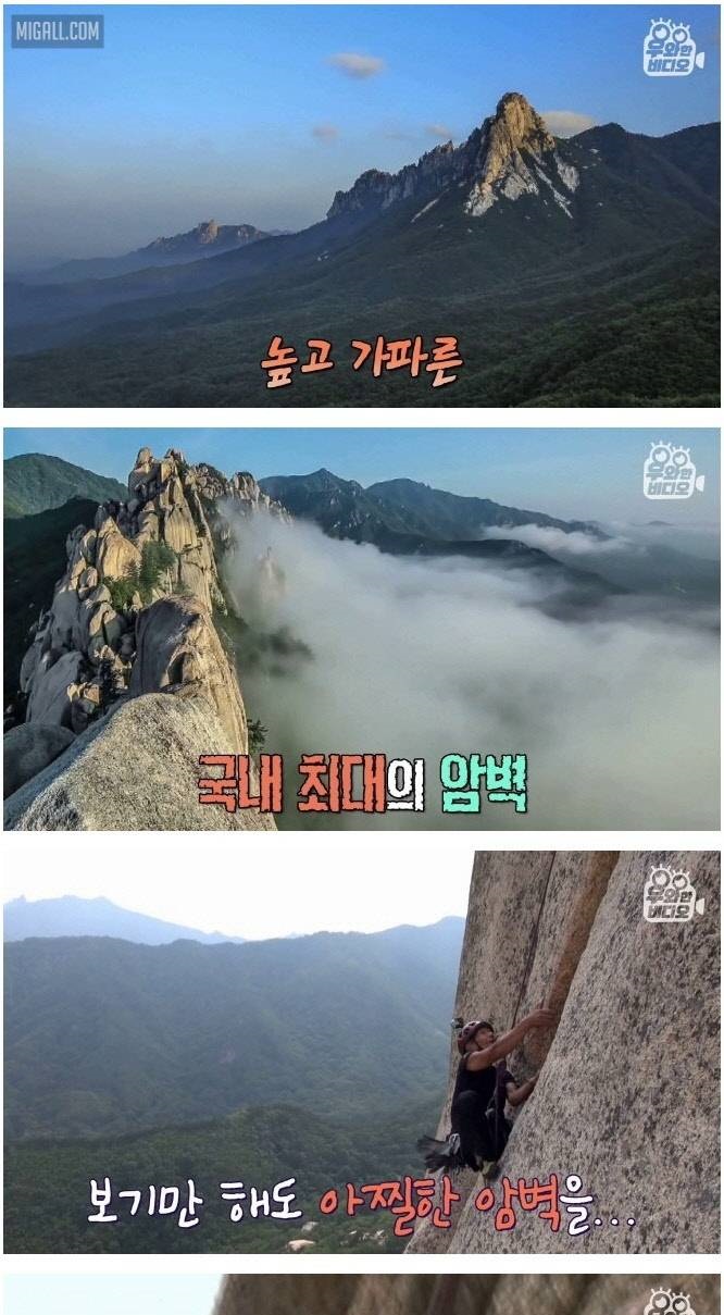 암벽 타는 백발 커플