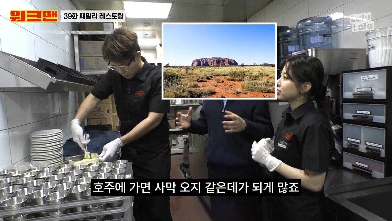 원산지로 알아보는 아웃백 유니버스