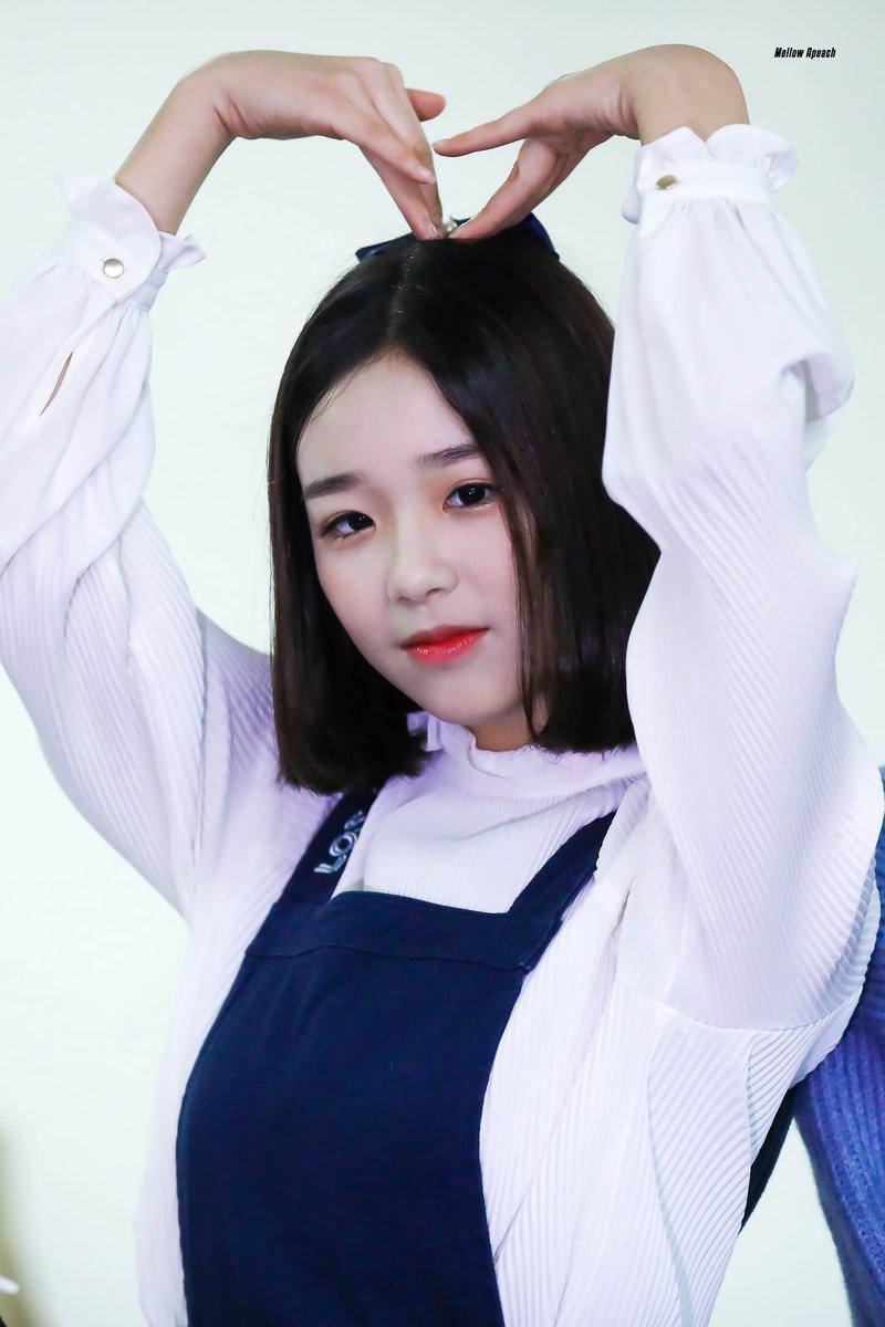 버스터즈 채연