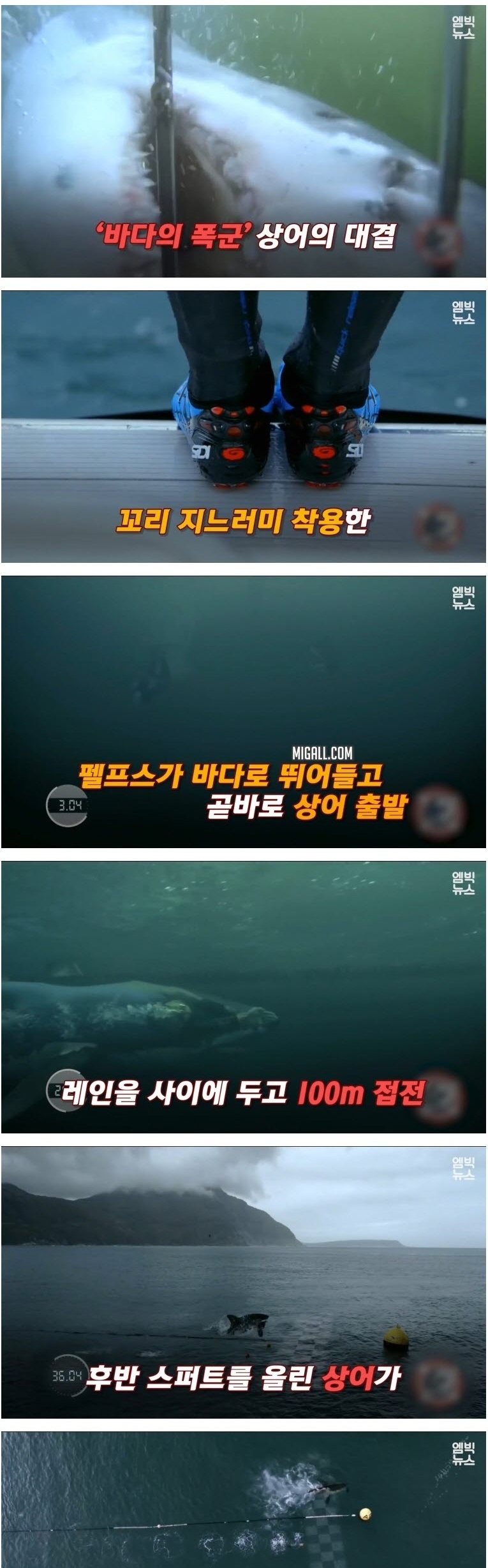 인간 VS 동물 기상천외한 승부