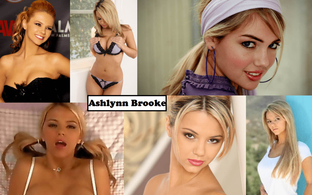 S급 서양 배우 확장판