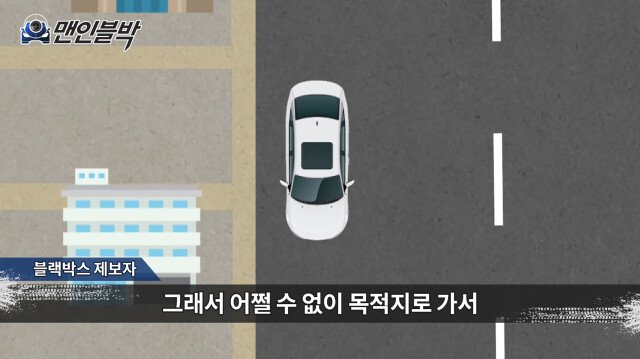 고속도로 로드킬