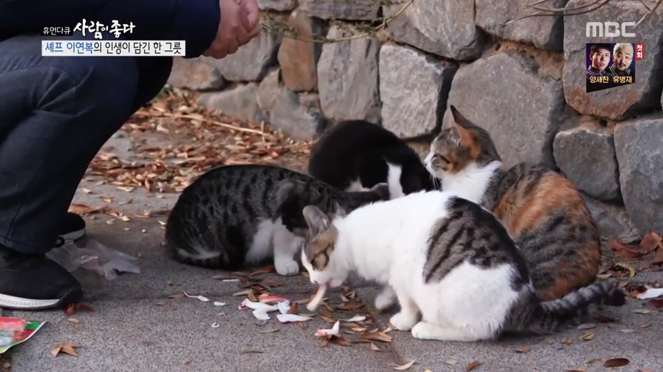 이연복이 먹여살리는 동물들