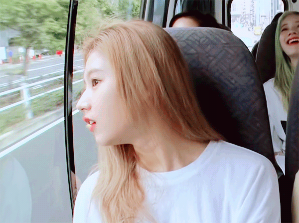 정열대륙 트와이스 사나 지효 모모 나연 [데이터]