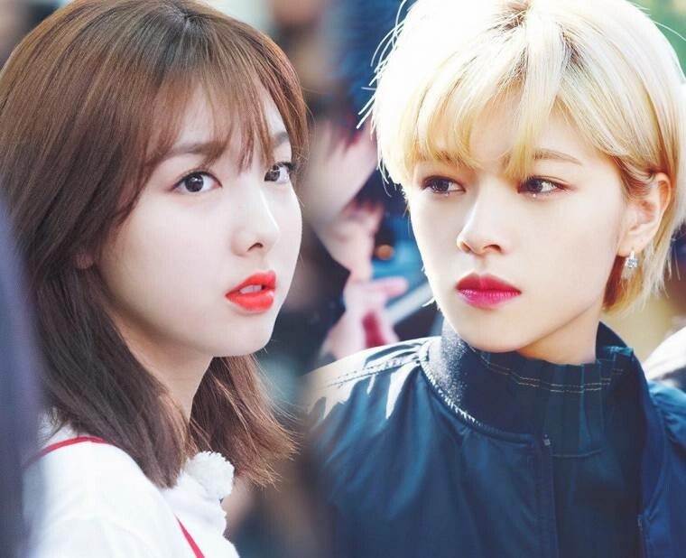 트와이스 애증의 쌍연 나연,정연