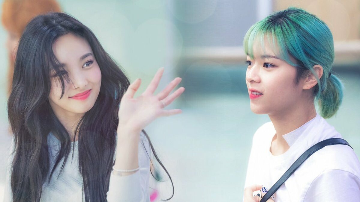 트와이스 애증의 쌍연 나연,정연