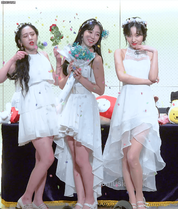 귀염 터지는 여우