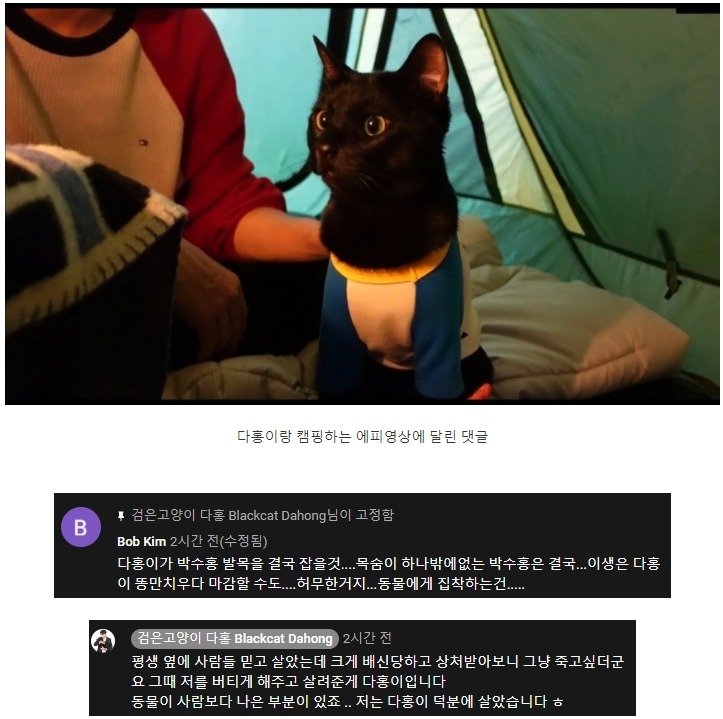 박수홍이 유튜브에 박제했던 댓글