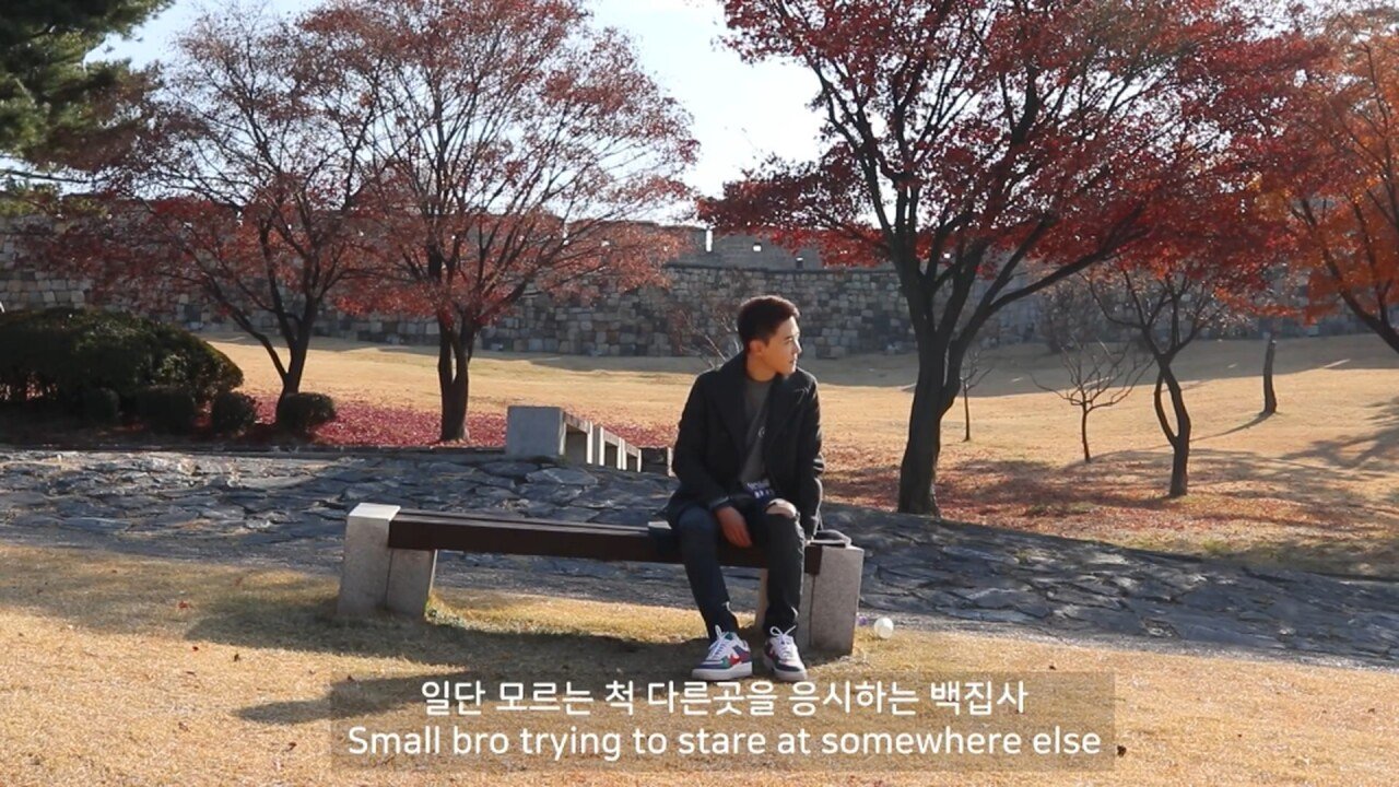개에 관한 실험