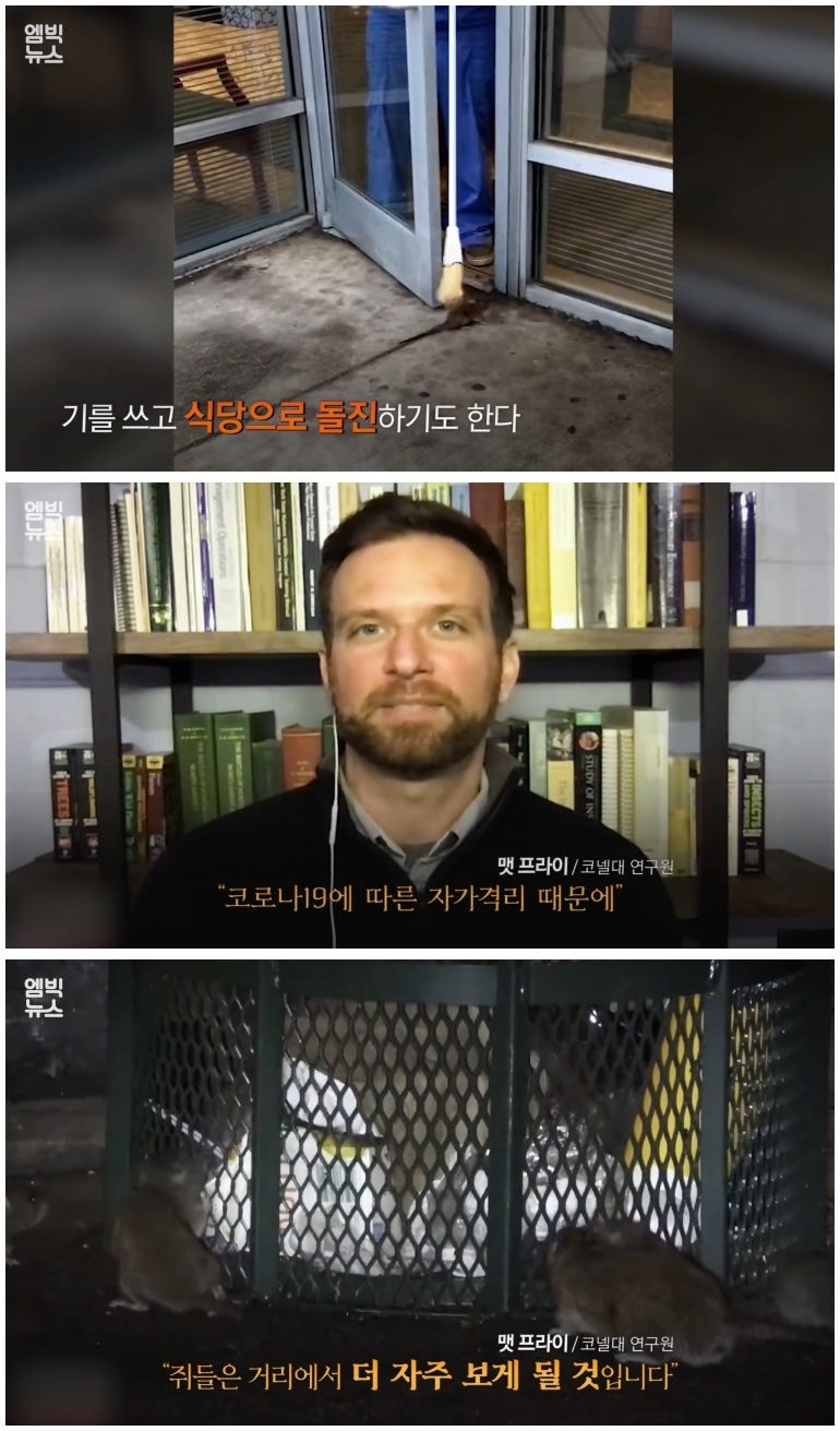 세계 곳곳 주요 도시에 창궐 중