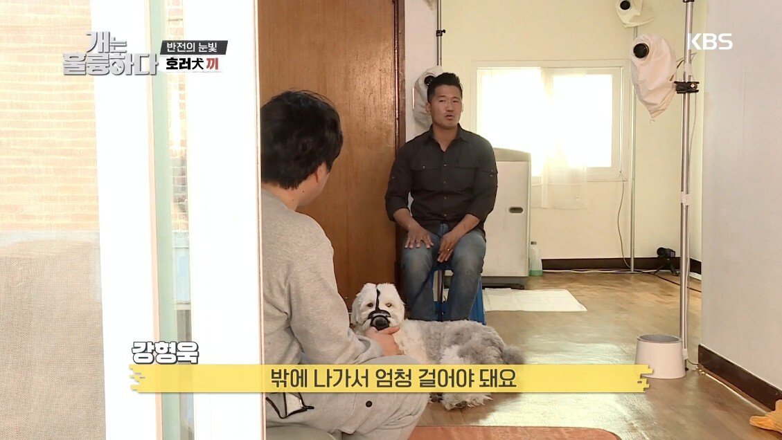 혼자 살면서 개 키우는 주인에게 빡친 강형욱