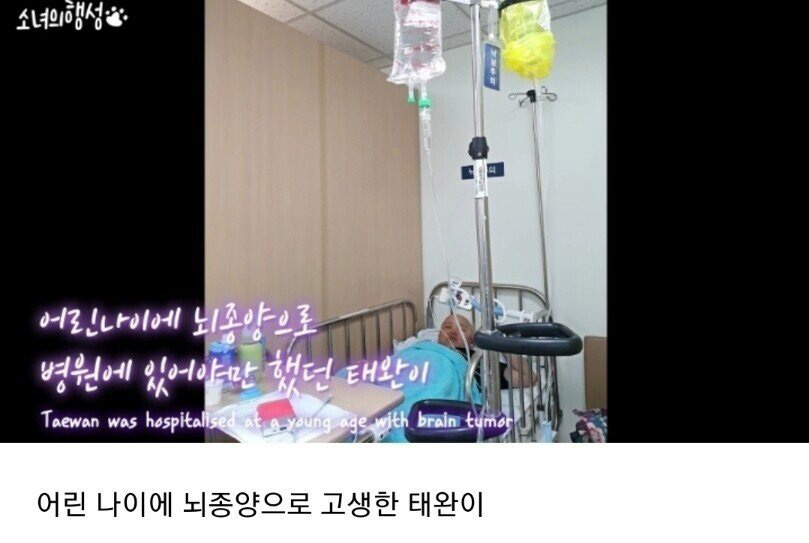 댕댕이 유튜버의 팬서비스