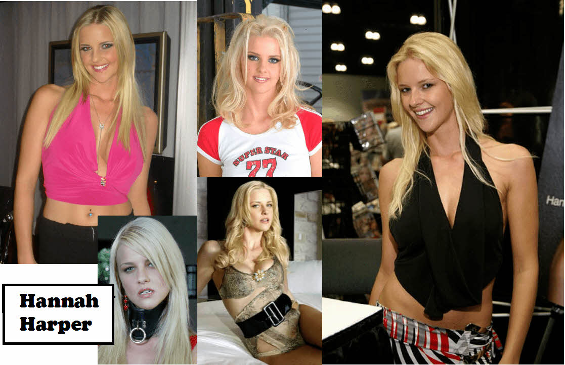 S급 서양 배우 확장판