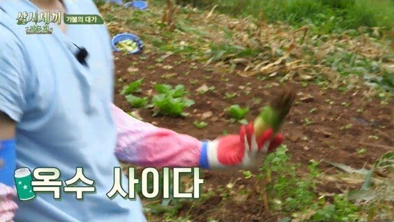 남주혁 정도는 되어야 분위기 띄울 수 있는 드립