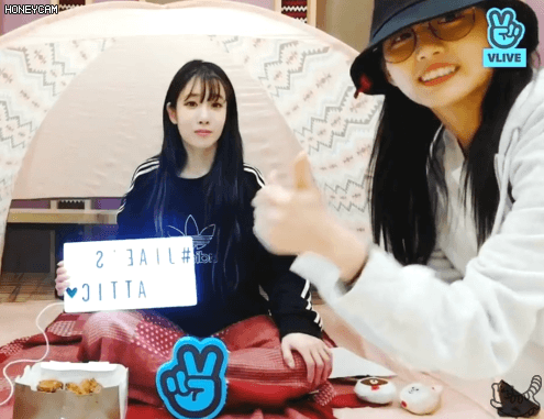매를 버는 예인이 + 미주