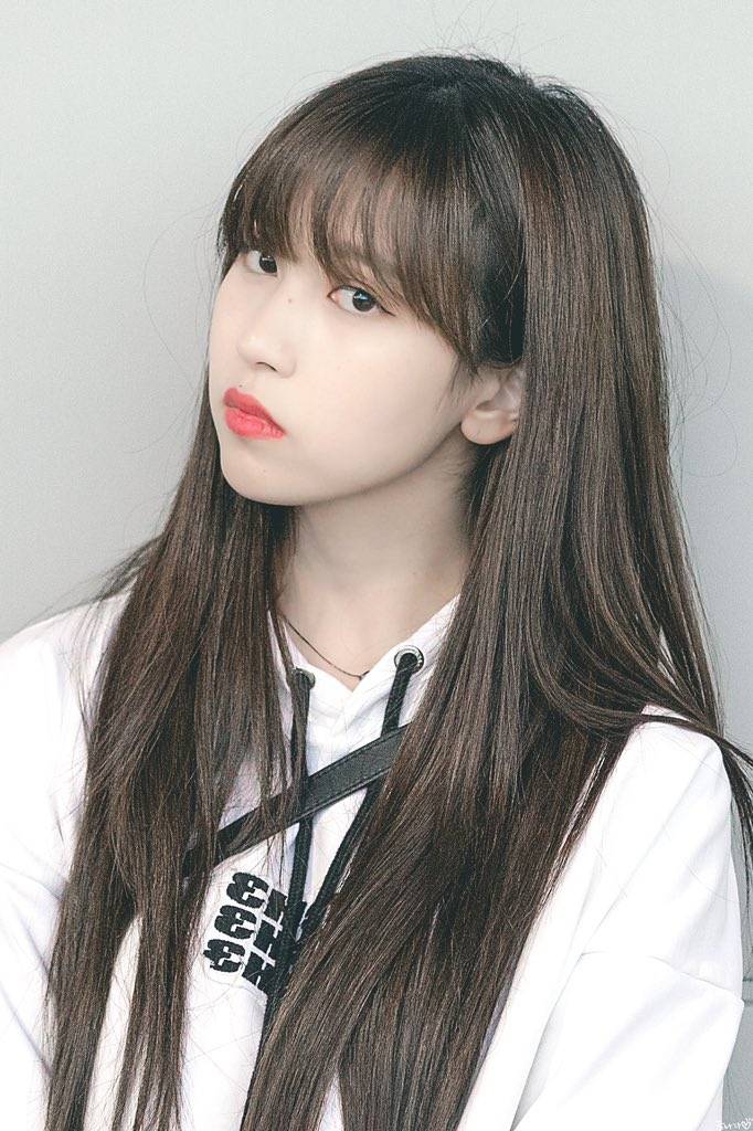 트와이스 미나 / 사나 / 쯔위