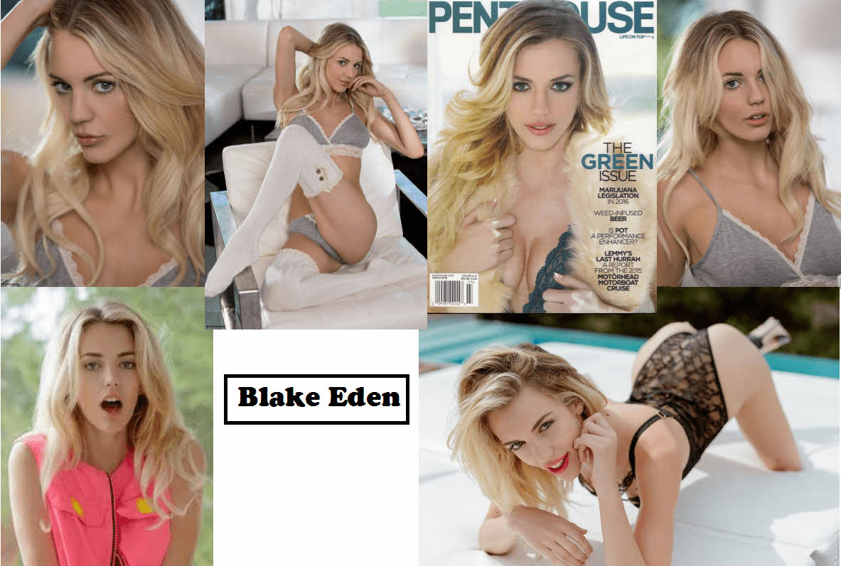 S급 서양 배우 확장판